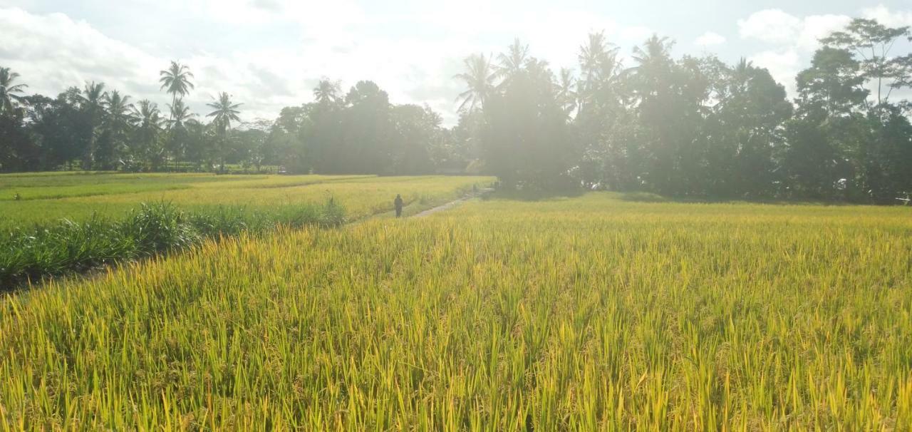 Amara Giri I Villa Ubud  Exterior photo